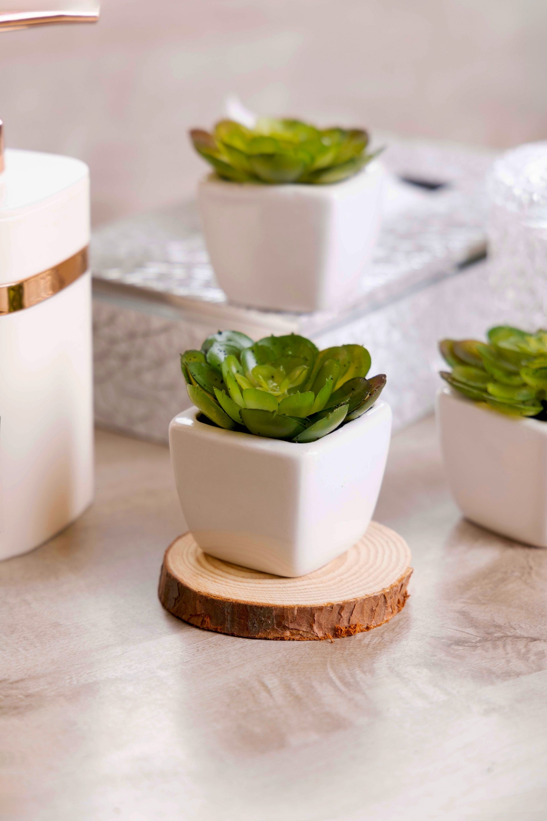 PolliNation Artificial Succulent Bonsai With Ceramic Pot Set of 2 - Green