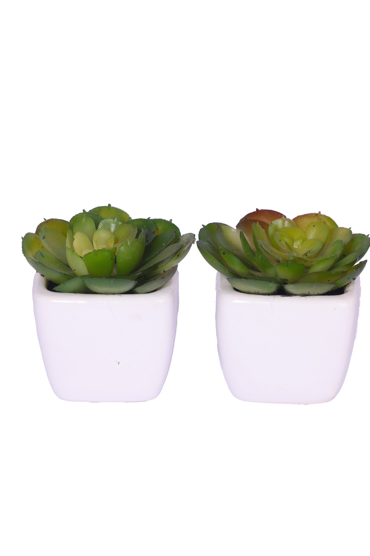 PolliNation Artificial Succulent Bonsai With Ceramic Pot Set of 2 - Pink