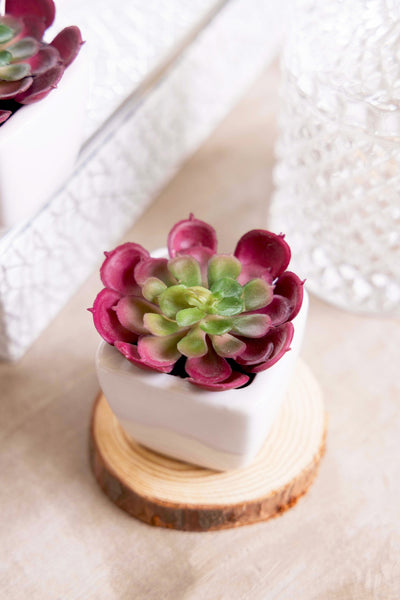 PolliNation Artificial Succulent Bonsai With Ceramic Pot Set of 2 - Pink