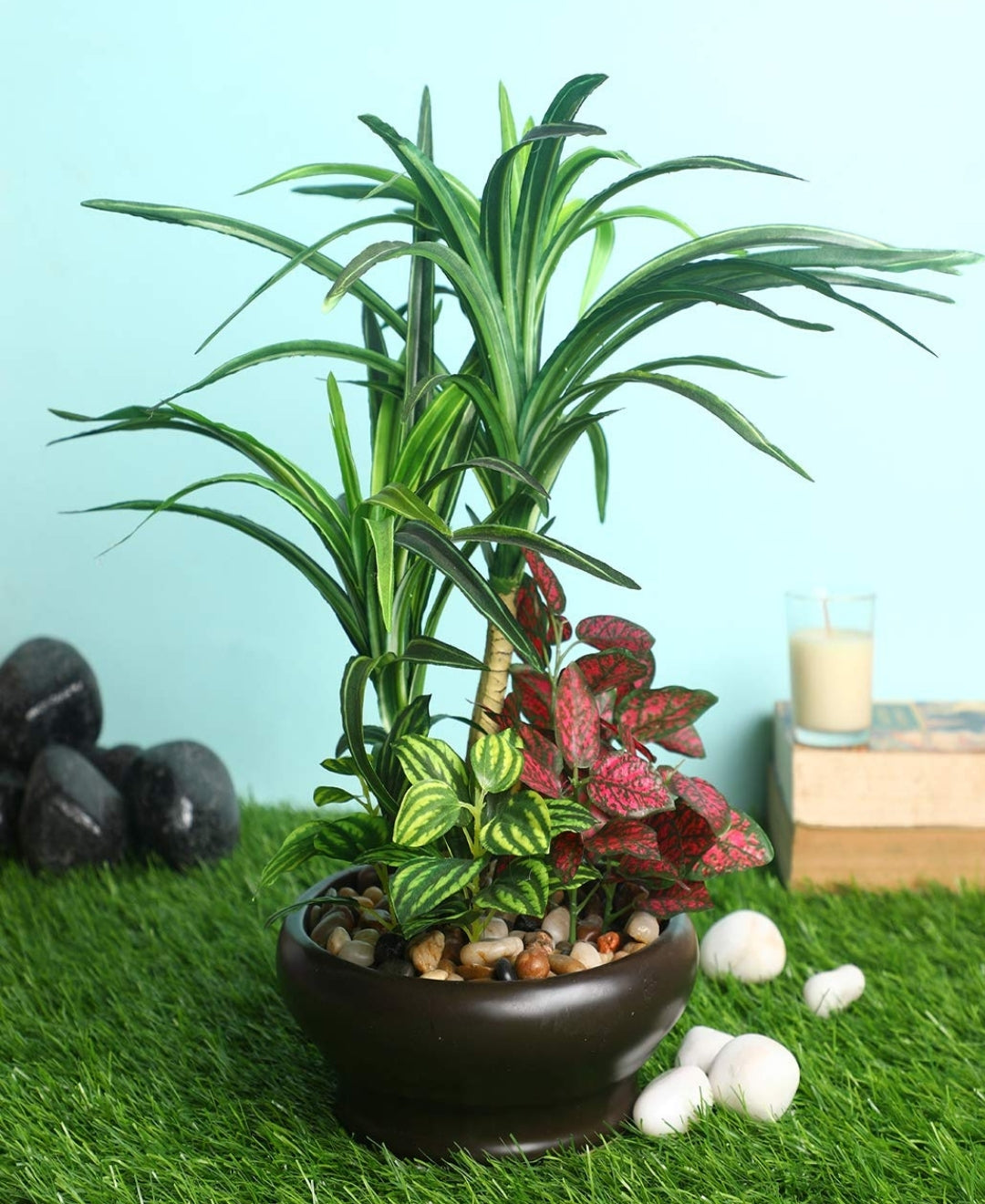 Elegant Yucca Bonsai In Brown Ceramic Pot