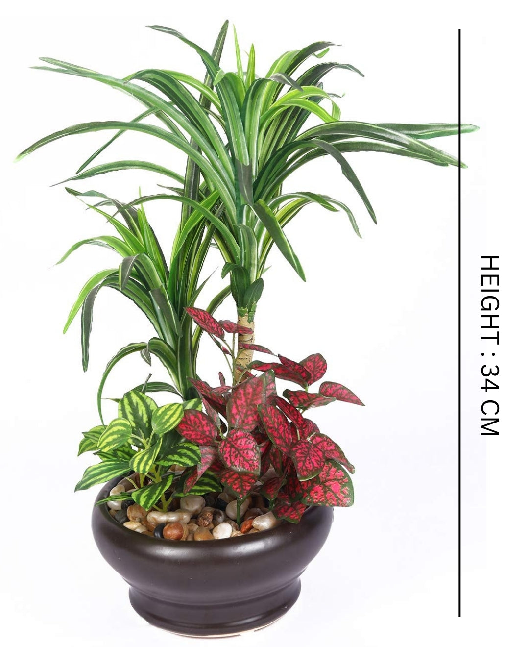 Elegant Yucca Bonsai In Brown Ceramic Pot