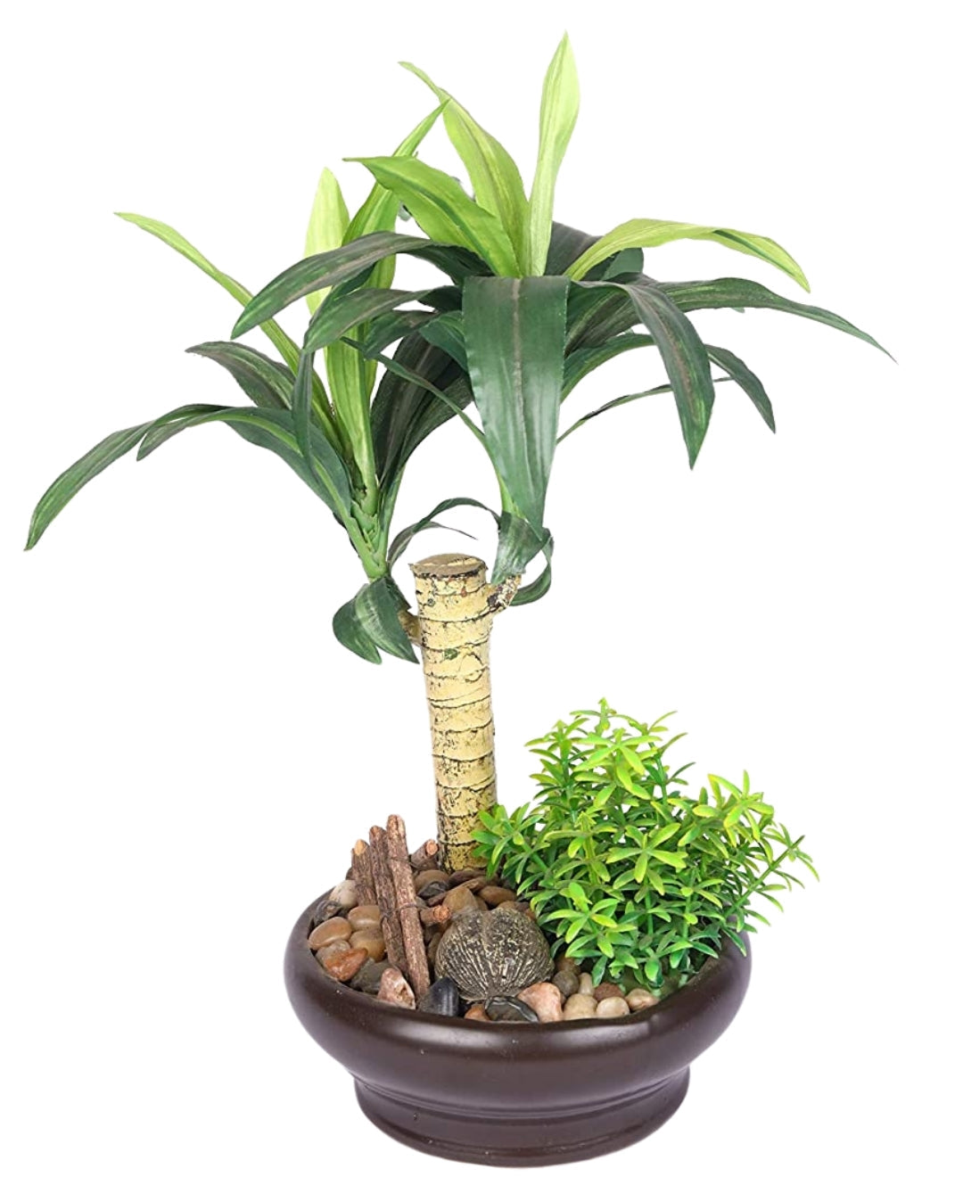 Tropical Dracaena Bonsai In Brown Ceramic Pot