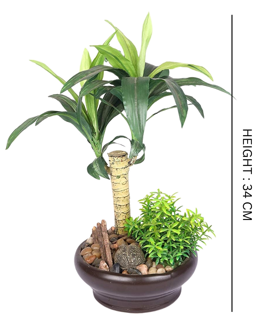 Tropical Dracaena Bonsai In Brown Ceramic Pot