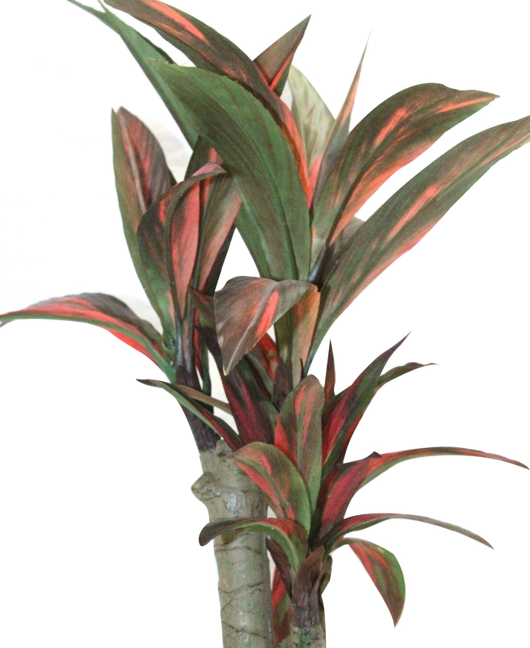 Artificial Yucca Tabletop Plant A Bold Touch Of Nature