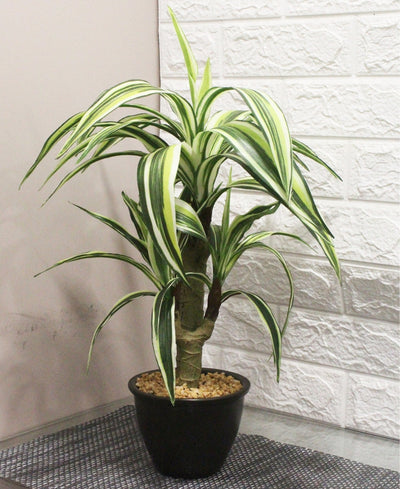 Artificial Yucca Tabletop Plant A Bold Touch Of Nature