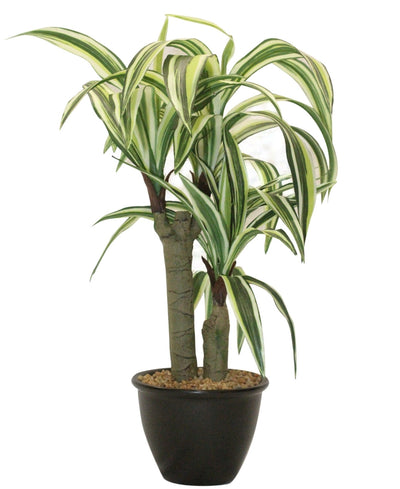 Artificial Yucca Tabletop Plant A Bold Touch Of Nature