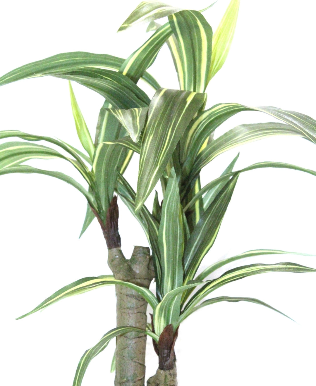 Artificial Yucca Tabletop Plant A Bold Touch Of Nature