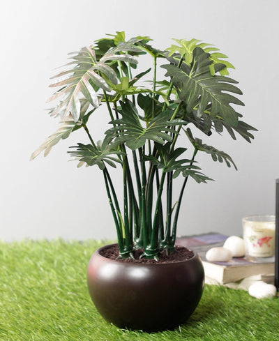 Whispers Of Green Bonsai In Brown Ceramic Pot