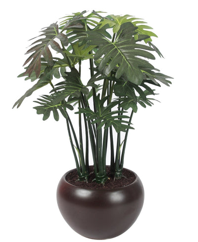 Whispers Of Green Bonsai In Brown Ceramic Pot