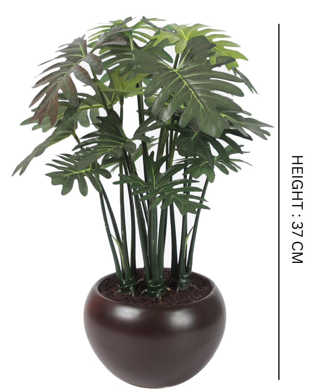 Whispers Of Green Bonsai In Brown Ceramic Pot