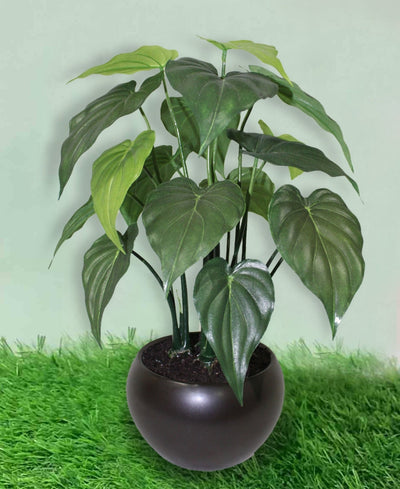 Whispers Of Green Bonsai In Brown Ceramic Pot