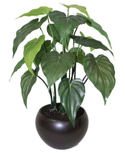 Whispers Of Green Bonsai In Brown Ceramic Pot