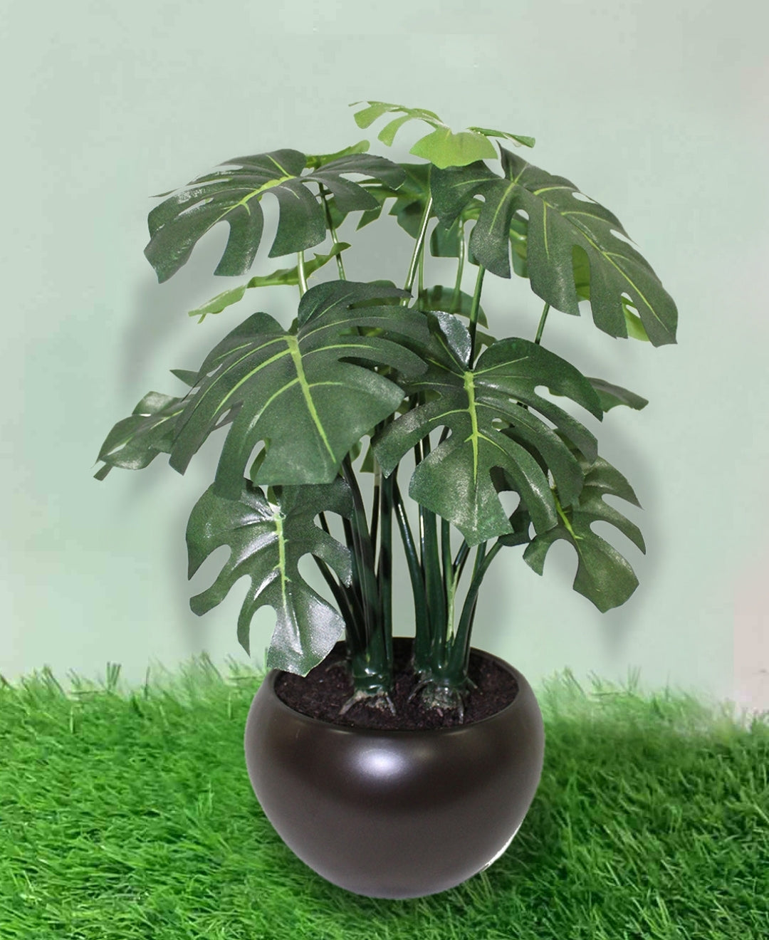 Whispers Of Green Bonsai In Brown Ceramic Pot