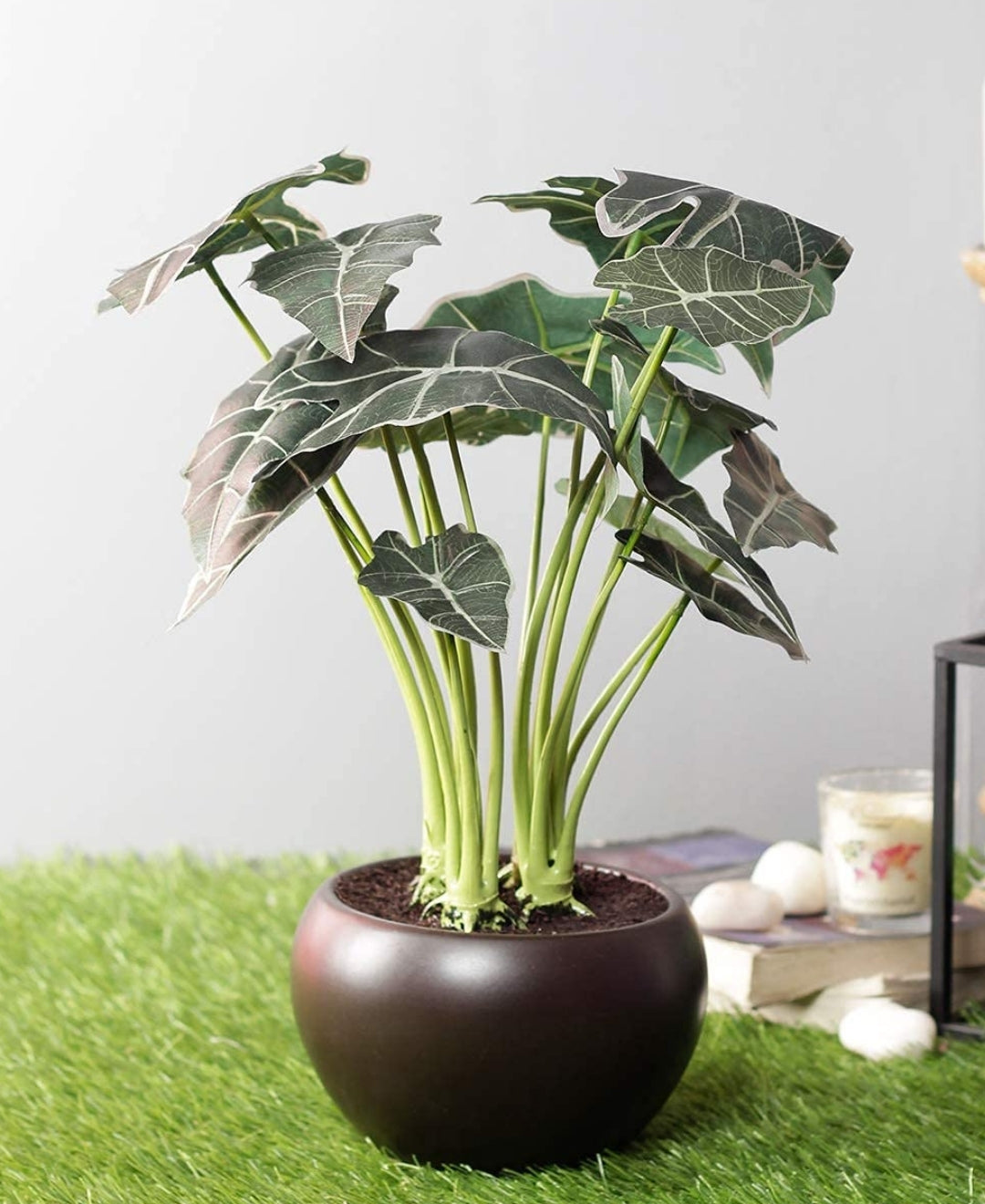Whispers Of Green Bonsai In Brown Ceramic Pot