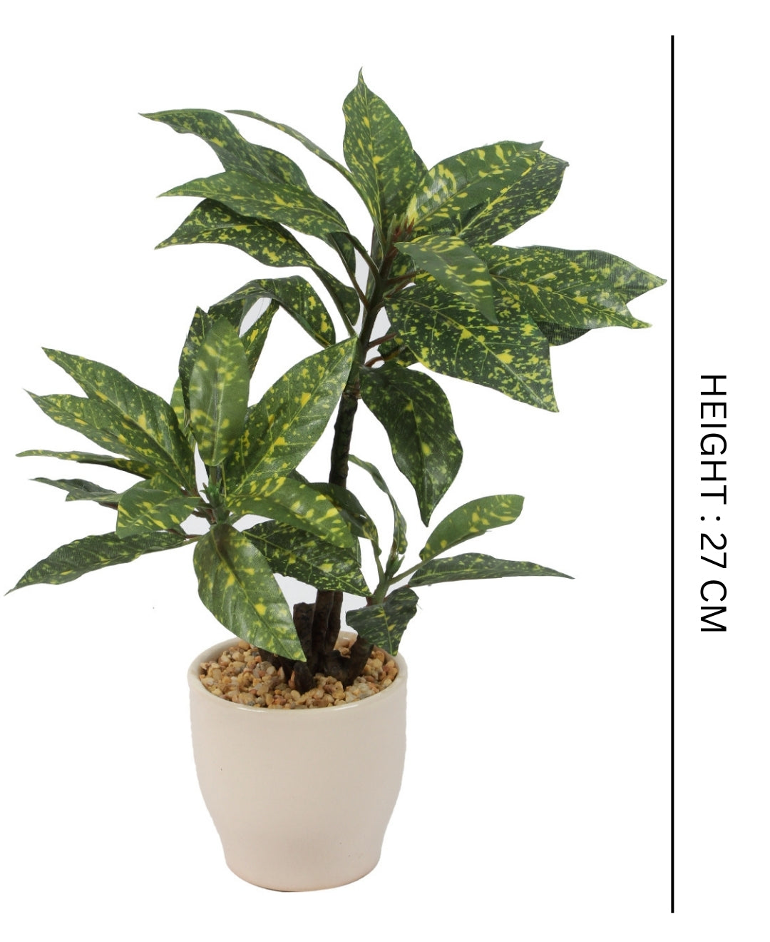 Radiant Croton Bonsai In Sleek Ceramic Pot