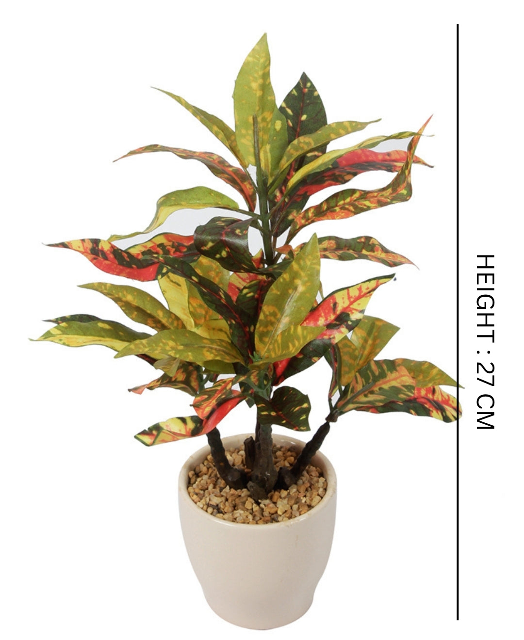 Radiant Croton Bonsai In Sleek Ceramic Pot