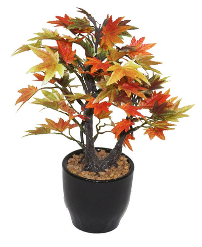 Minimal Maple Bonsai In Black Ceramic Pot