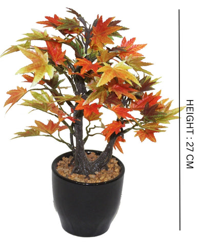 Minimal Maple Bonsai In Black Ceramic Pot
