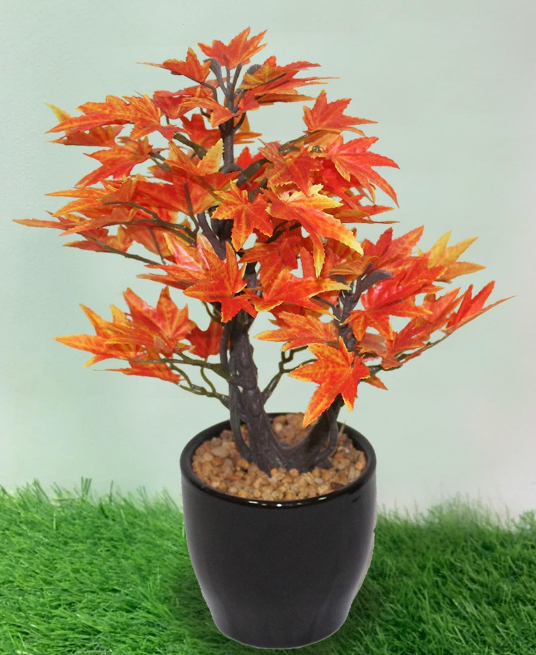 Minimal Maple Bonsai In Black Ceramic Pot