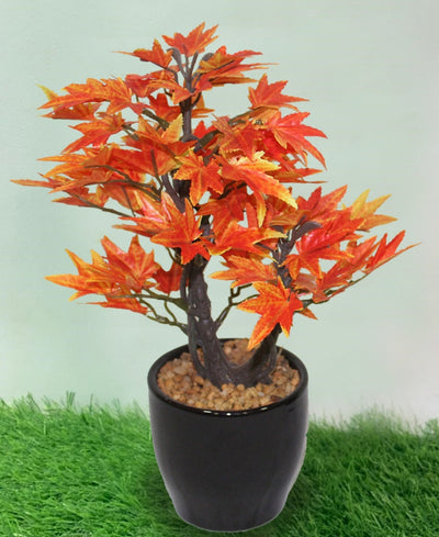 Minimal Maple Bonsai In Black Ceramic Pot
