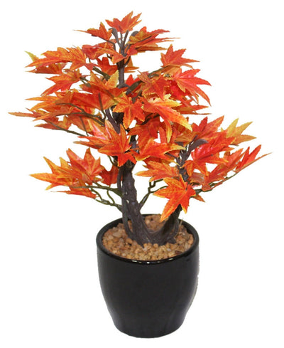 Minimal Maple Bonsai In Black Ceramic Pot