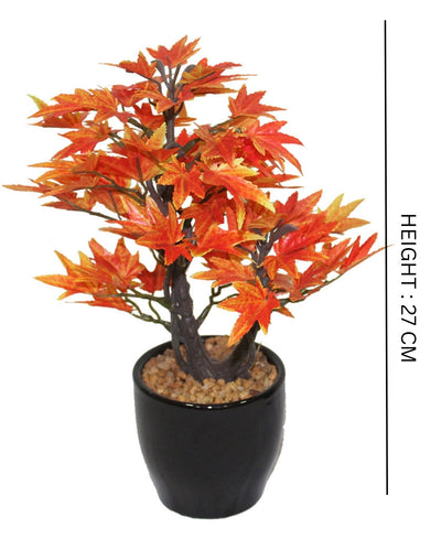 Minimal Maple Bonsai In Black Ceramic Pot