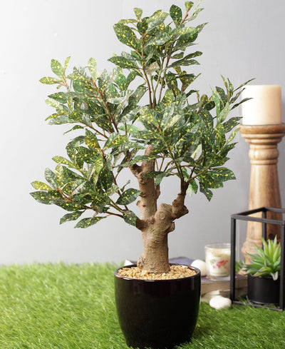 Stunning Artificial Croton Tabletop Plant In Black Ceramic Pot