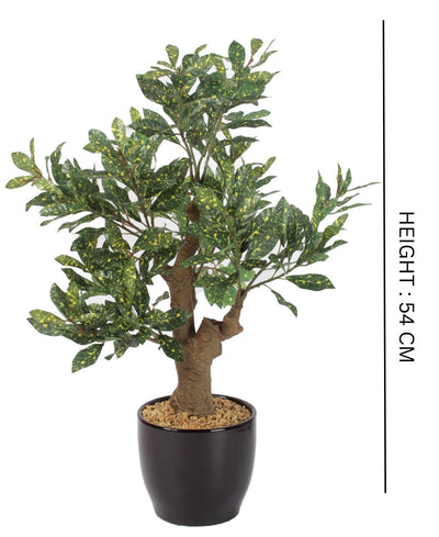 Stunning Artificial Croton Tabletop Plant In Black Ceramic Pot