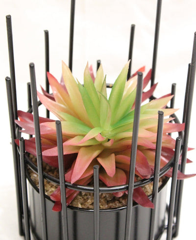 Artificial Succulent Bonsai In Metal Pot A Modern Touch Of Nature