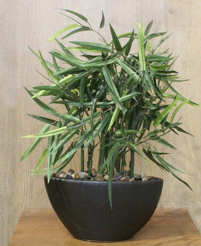Elegant Bamboo Tabletop Plant