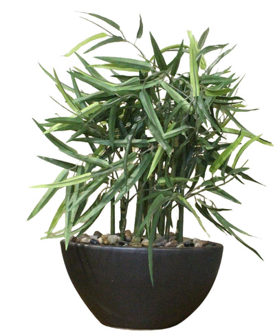 Elegant Bamboo Tabletop Plant