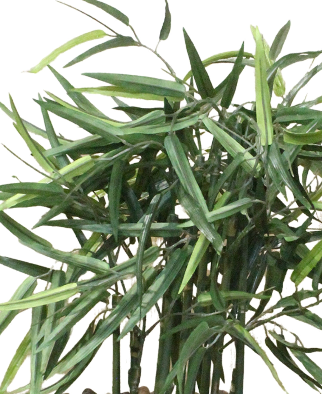 Elegant Bamboo Tabletop Plant