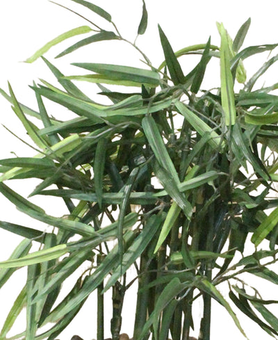 Elegant Bamboo Tabletop Plant
