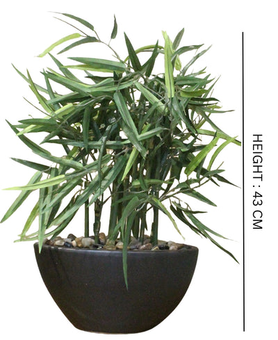 Elegant Bamboo Tabletop Plant