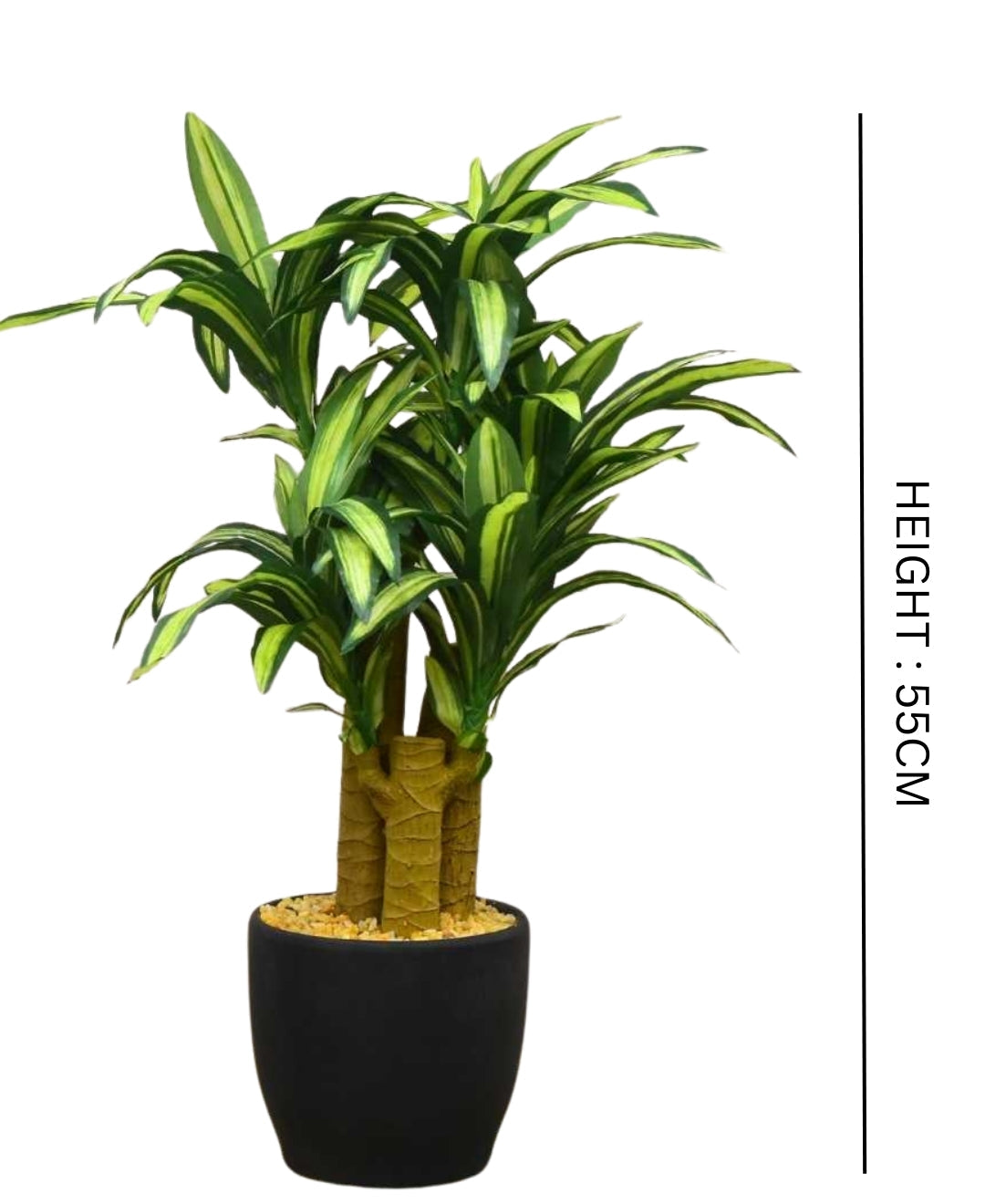 Radiant Yucca Tabletop Plant In Black Ceramic Pot