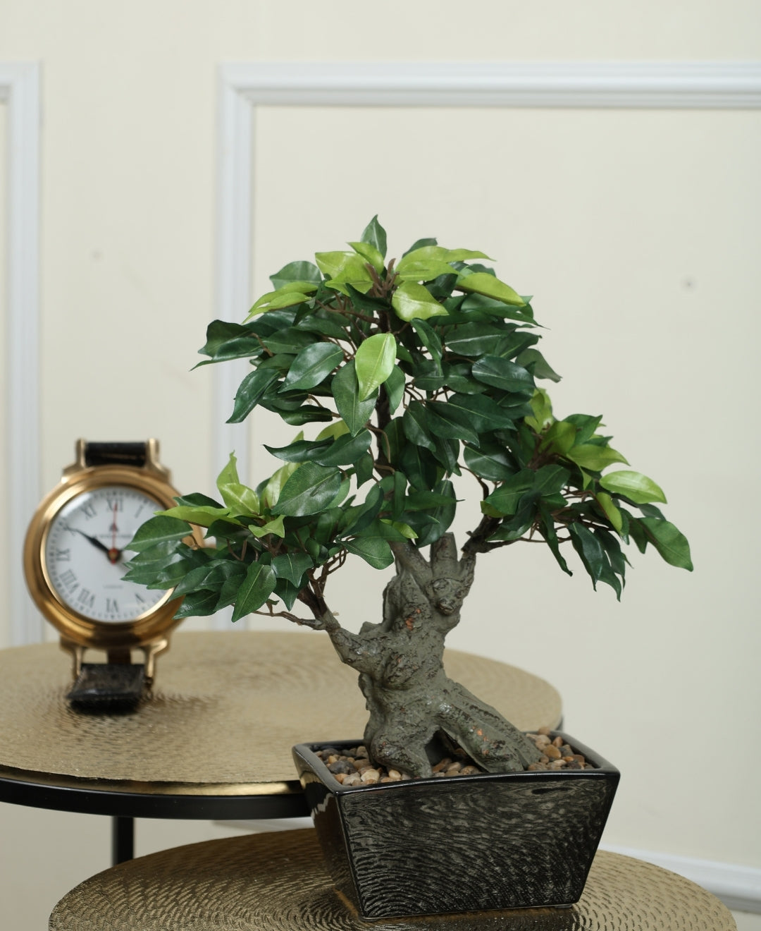 The Artful Bonsai Tree Elegant Greenery For Any Space