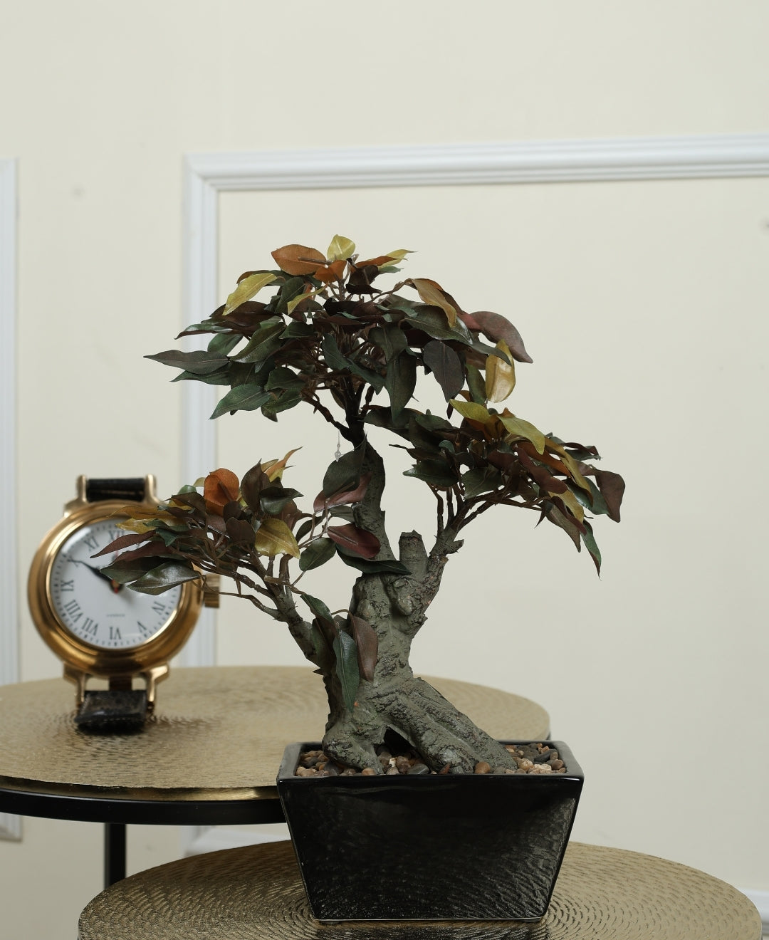 The Artful Bonsai Tree Elegant Greenery For Any Space