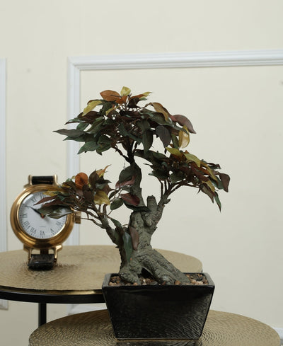 The Artful Bonsai Tree Elegant Greenery For Any Space