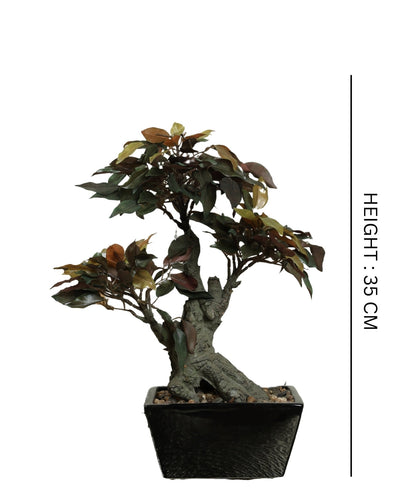 The Artful Bonsai Tree Elegant Greenery For Any Space