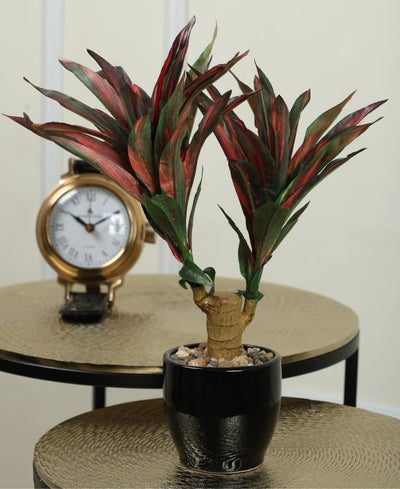 Graceful Ficus Artificial Bonsai A Timeless Accent For Your Space