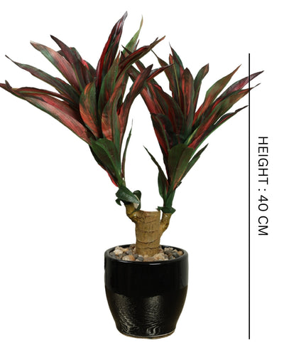 Graceful Ficus Artificial Bonsai A Timeless Accent For Your Space