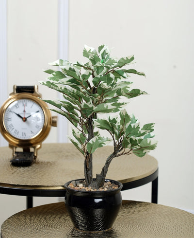 Graceful Ficus Artificial Bonsai A Timeless Accent For Your Space