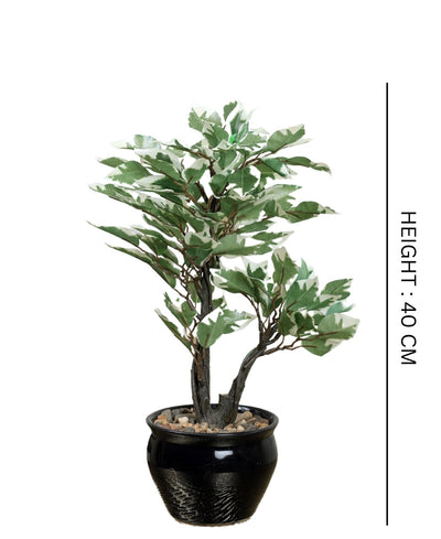 Graceful Ficus Artificial Bonsai A Timeless Accent For Your Space