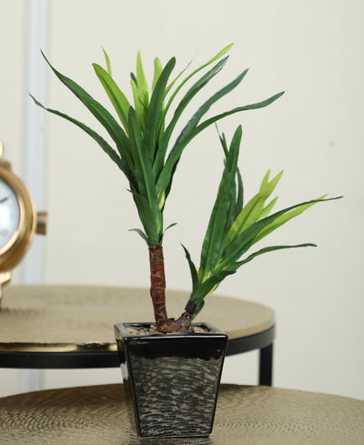 Minimalist Green Bonsai In Ceramic Pot