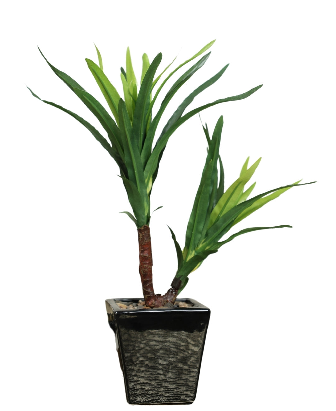 Minimalist Green Bonsai In Ceramic Pot