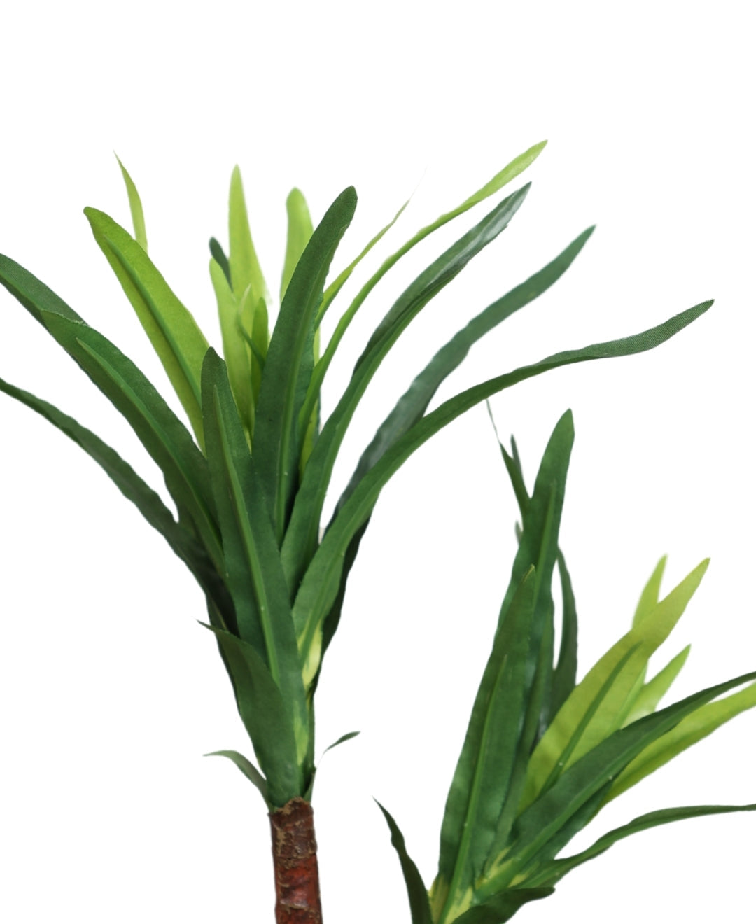 Minimalist Green Bonsai In Ceramic Pot