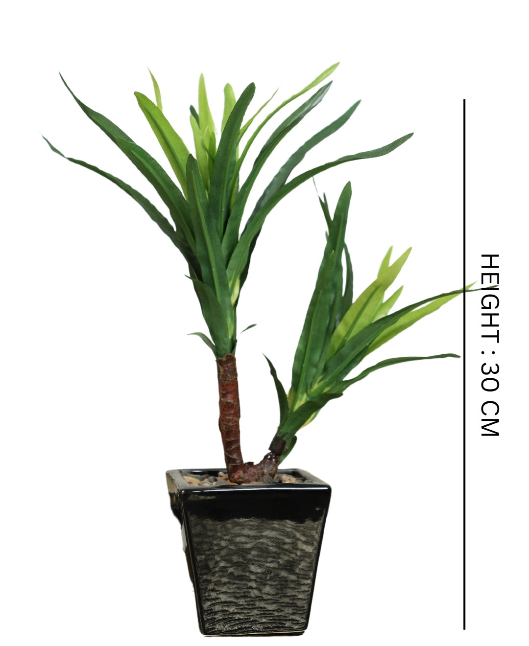 Minimalist Green Bonsai In Ceramic Pot