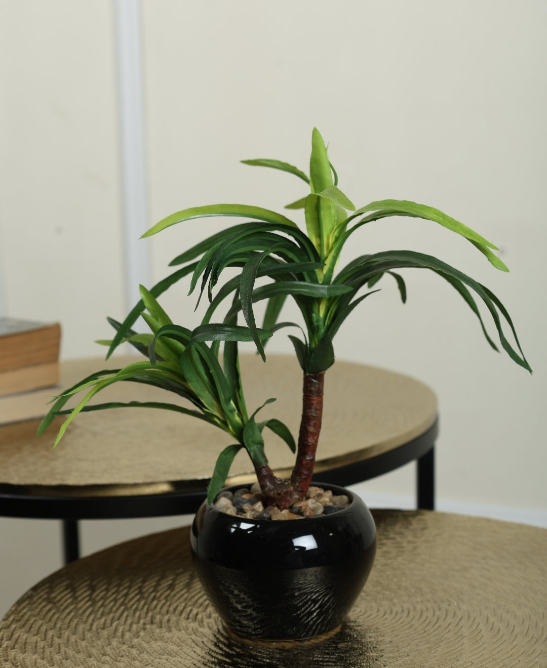 Minimalist Tree-Like Bonsai In Ceramic Pot