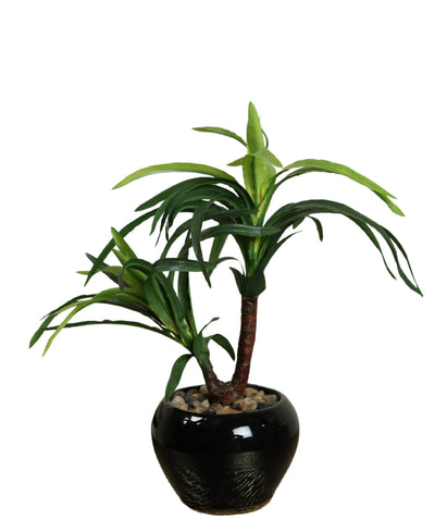 Minimalist Tree-Like Bonsai In Ceramic Pot