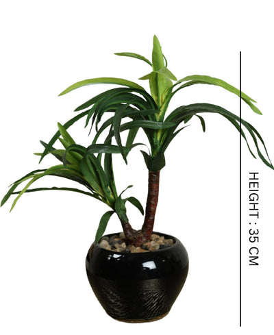 Minimalist Tree-Like Bonsai In Ceramic Pot